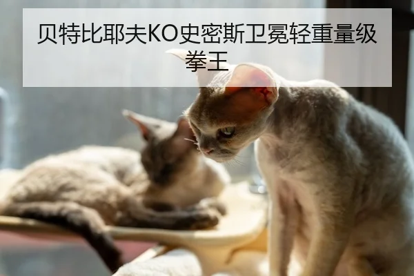 贝特比耶夫KO史密斯卫冕轻重量级拳王