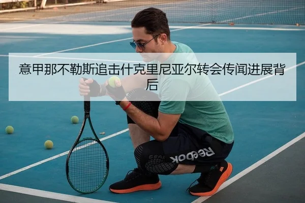 意甲那不勒斯追击什克里尼亚尔转会传闻进展背后 | leyu